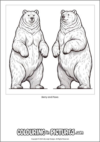 Free printable bear colouring in picture of Berry and Paws