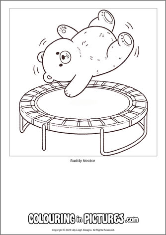 Free printable bear colouring in picture of Buddy Nectar