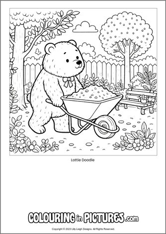 Free printable bear colouring in picture of Lottie Doodle
