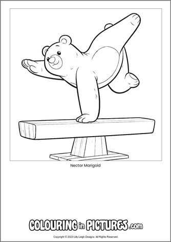 Free printable bear colouring in picture of Nectar Marigold