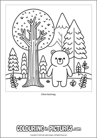 Free printable bear colouring in picture of Olive Nutmeg