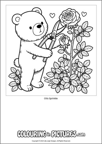 Free printable bear colouring in picture of Otis Sprinkle
