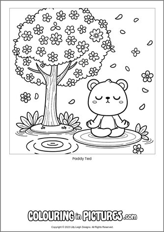 Free printable bear colouring in picture of Paddy Ted