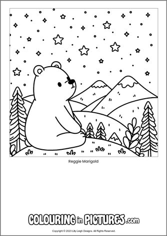 Free printable bear colouring in picture of Reggie Marigold