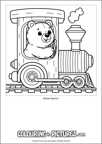 Free printable bear colouring in picture of Wilson Nectar