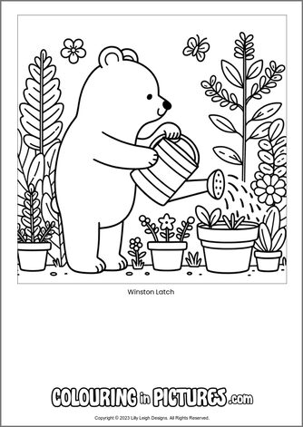 Free printable bear colouring in picture of Winston Latch